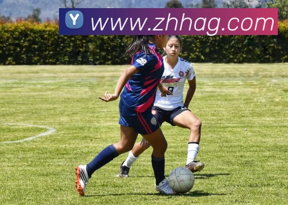 ag官网品牌故事