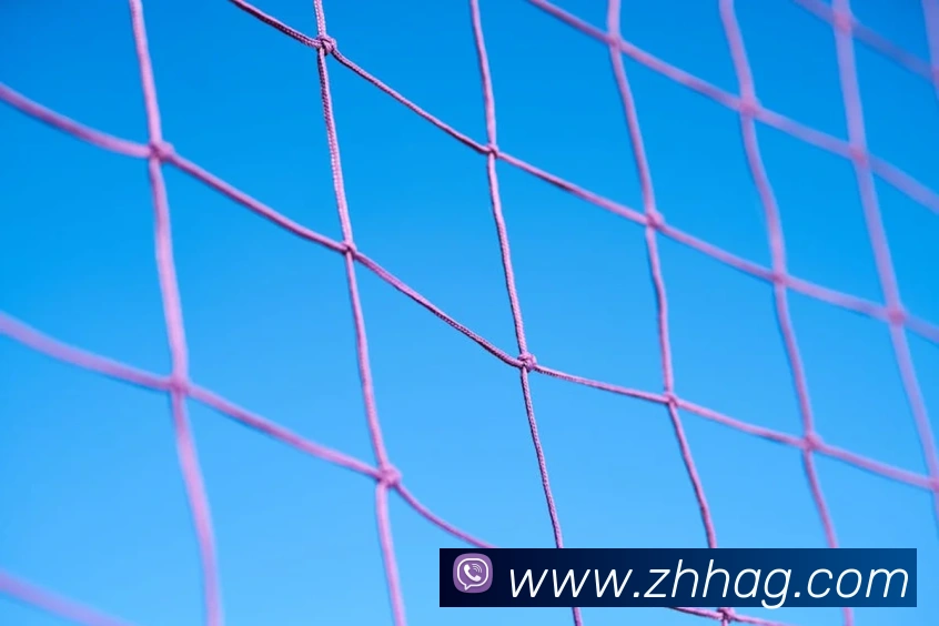 ag官网服务体系